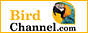 LinkExchange_88x33
